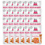 Care Fillets in gravy savory salmon 24 x 85 g filety łososia w sosie
