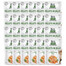 Care Fillets in Jelly tuńczyk saszetki dla kota 24 x 85 g