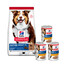 HILL'S Science Plan Canine Mature Adult Lamb & Rice für ältere Hunde 14 kg + 3 Dosen GRATIS