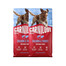 CARNILOVE Active Adult Trockenfutter mit Lachs und Truthahn für aktive Hunde aller Rassen getreidefrei 2x12 kg