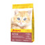 Cat Minette 2 kg
