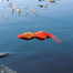 TRIXIE Ente, Polyester, schwimmt 50 cm