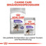 ROYAL CANIN MINI Sterilised Trockenfutter für kastrierte kleine Hunde 2 kg