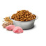 FARMINA N&D Low Ancestral Grain Chicken & Pomegranate Adult Cat 300 g
