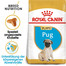 ROYAL CANIN Pug Puppy Welpenfutter trocken für Mops 1,5 kg