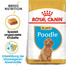 ROYAL CANIN Poodle Puppy Welpenfutter für Pudel 0,5 kg