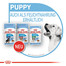 ROYAL CANIN MAXI Puppy Welpenfutter trocken für große Hunde 1 kg