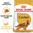 ROYAL CANIN Cocker Adult Hundefutter trocken 3 kg