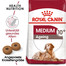 ROYAL CANIN MEDIUM Ageing 10+ Trockenfutter für ältere mittelgroße Hunde 3 kg