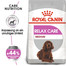 ROYAL CANIN RELAX CARE MEDIUM Trockenfutter für mittelgroße Hunde in unruhigem Umfeld 1 kg