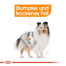 ROYAL CANIN COAT CARE MINI Trockenfutter für kleine Hunde für glänzendes Fell 1 kg