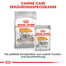 ROYAL CANIN COAT CARE MINI Trockenfutter für kleine Hunde für glänzendes Fell 1 kg