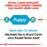 ROYAL CANIN Jack Russell Terrier Puppy Welpenfutter trocken 3 kg