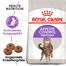 ROYAL CANIN STERILISED Appetite Control Trockenfutter für kastrierte übergewichtige Katzen 2 kg