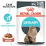 ROYAL CANIN Urinary Care Katzenfutter nass für gesunde Harnwege 12x85g