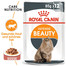 ROYAL CANIN Intense Beauty Katzenfutter nass in Soße für schönes Fell 12x85g