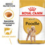 ROYAL CANIN Poodle Adult Hundefutter trocken für Pudel 3 kg