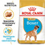 ROYAL CANIN Boxer Puppy Welpenfutter trocken 3 kg