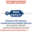 ROYAL CANIN MAXI Ageing 8+ Nassfutter für ältere große Hunde in Soße 140 g