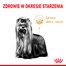 ROYAL CANIN Yorkshire Terrier 8+ Trockenfutter für ältere Hunde 0.5 kg