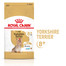 ROYAL CANIN Yorkshire Terrier 8+ Trockenfutter für ältere Hunde 0.5 kg