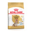 ROYAL CANIN Yorkshire Terrier 8+ Trockenfutter für ältere Hunde 0.5 kg