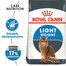 ROYAL CANIN Light Weight Care Trockenfutter für übergewichtige Katzen 20 kg (2 x 10 kg)