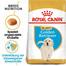 ROYAL CANIN Golden Retriever Puppy Welpenfutter trocken 24 kg (2 x 12 kg)