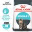 ROYAL CANIN Urinary Care Katzenfutter trocken für gesunde Harnwege 20 kg (2 x 10 kg)