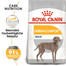 ROYAL CANIN DERMACOMFORT MAXI Trockenfutter für große Hunde mit empfindlicher Haut 20 kg (2 x 10 kg)