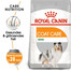 ROYAL CANIN COAT CARE MINI Trockenfutter für kleine Hunde für glänzendes Fell 16 kg (2 x 8 kg)