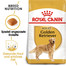 ROYAL CANIN Golden Retriever Adult Hundefutter trocken 12 kg + Sportbeutel