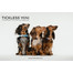 TICKLESS Mini Dog – Rosegold