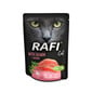 DOLINA NOTECI Rafi Cat Katzennassfutter mit Lachs 300 g