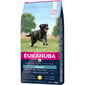 EUKANUBA Adult Large Breeds Chicken 15 kg Trockenfutter für aktive ausgewachsene Hunde großer Rassen