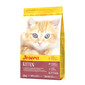 Cat Minette 2 kg