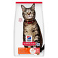 HILL'S Science Plan Feline Adult Salmon 10 kg sucha karma z łososiem dla dorosłych kotów