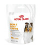 Skin Coat Adult Dog Supplements 240g suplement na zdrowie skóry i sierści dla dorosłych psów